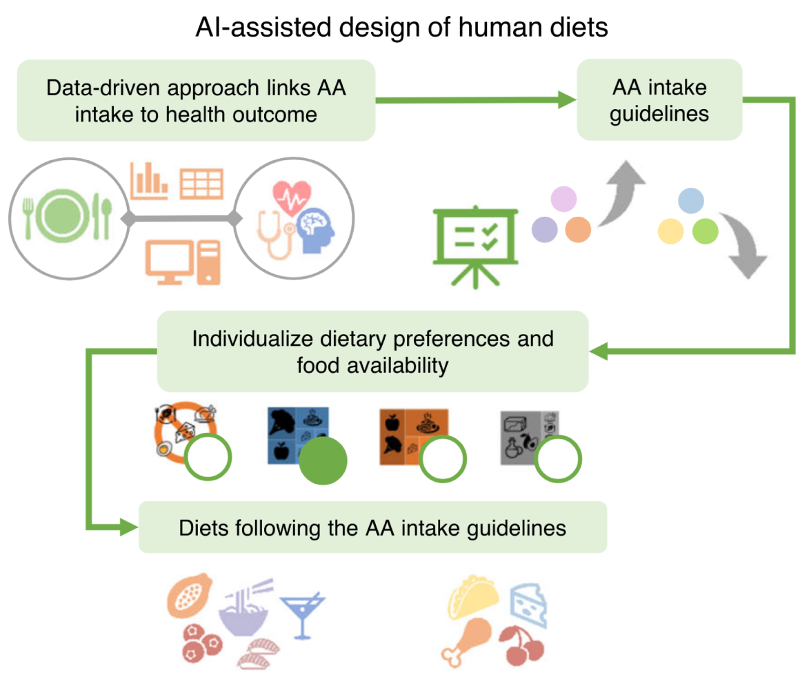 Pareto optimality of dietary amino acids